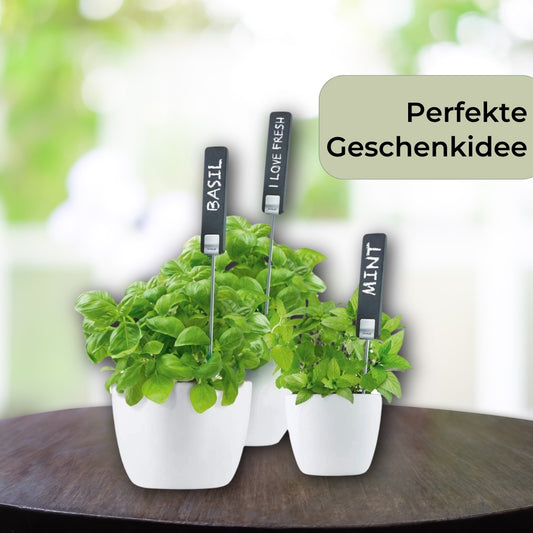 Blomus Pflanzenstecker Set 2