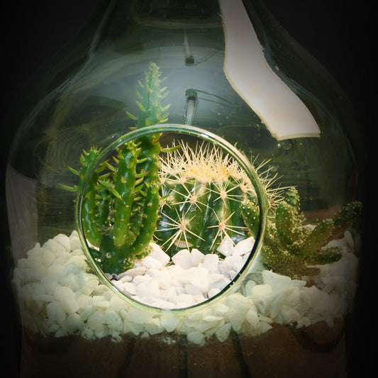 Esschert Design Pflanzliches Terrarium