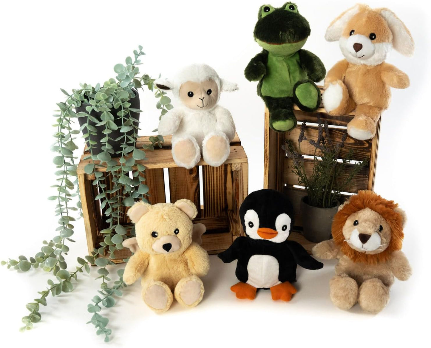 Habibi Plush Premium MIDI Deluxe Heatable Plush Toy Heat Pad Design Selection