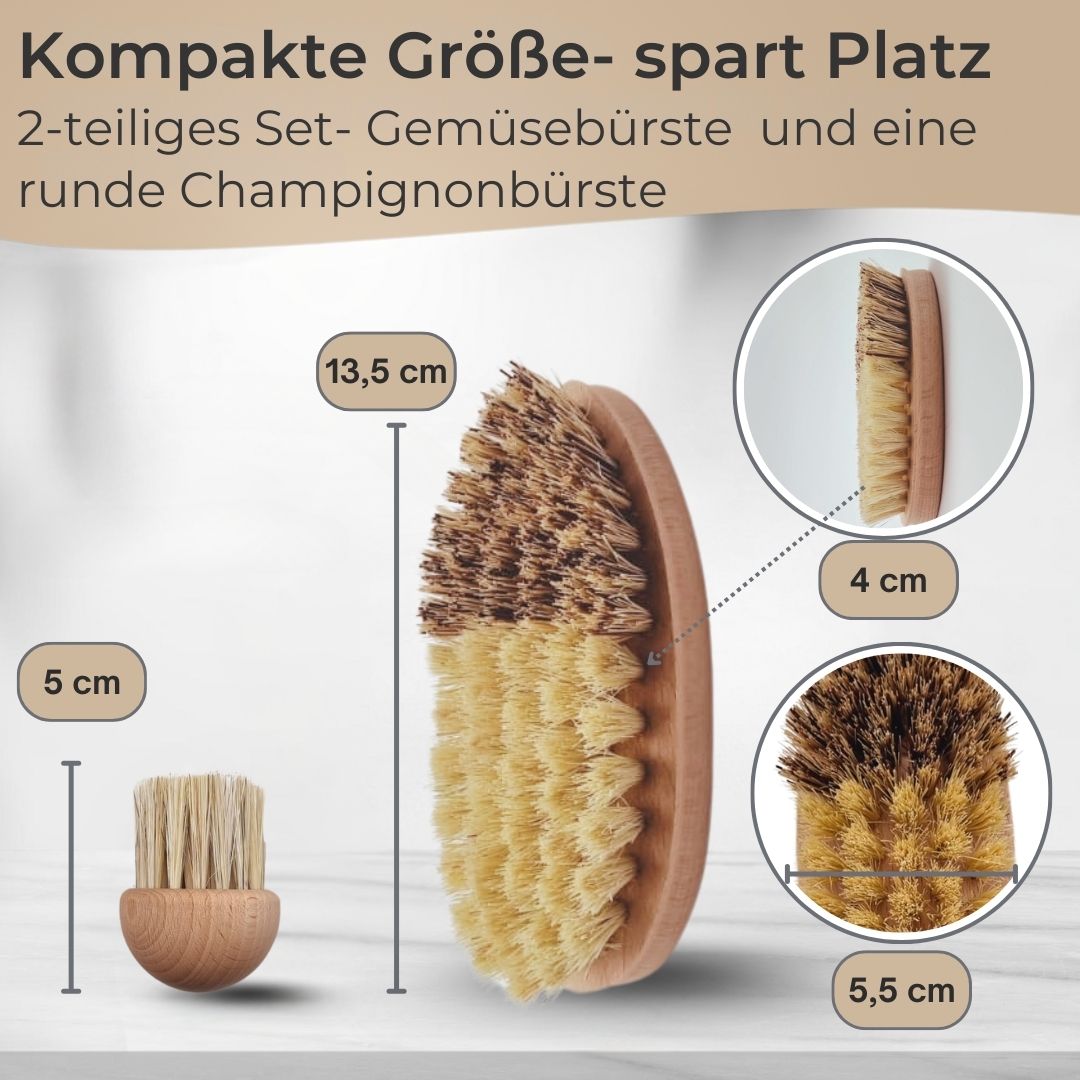 TA999 Reinigungsbürsten aus Buchenholz in verschiedenen Ausführungen