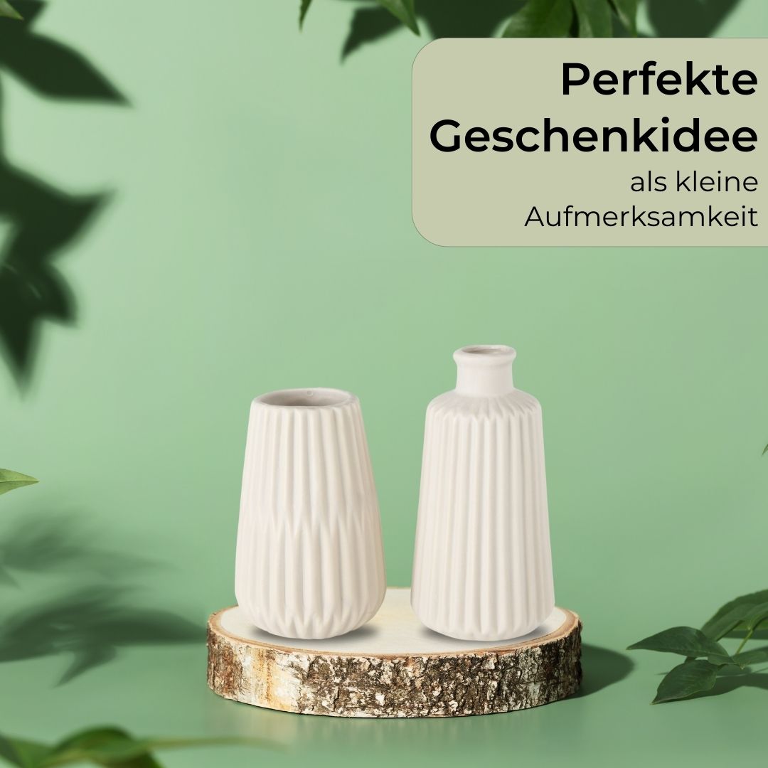 TA999 Vasen-Set Keramik verschiedene Ausführungen Porzellanvase Wohndeko Blumen