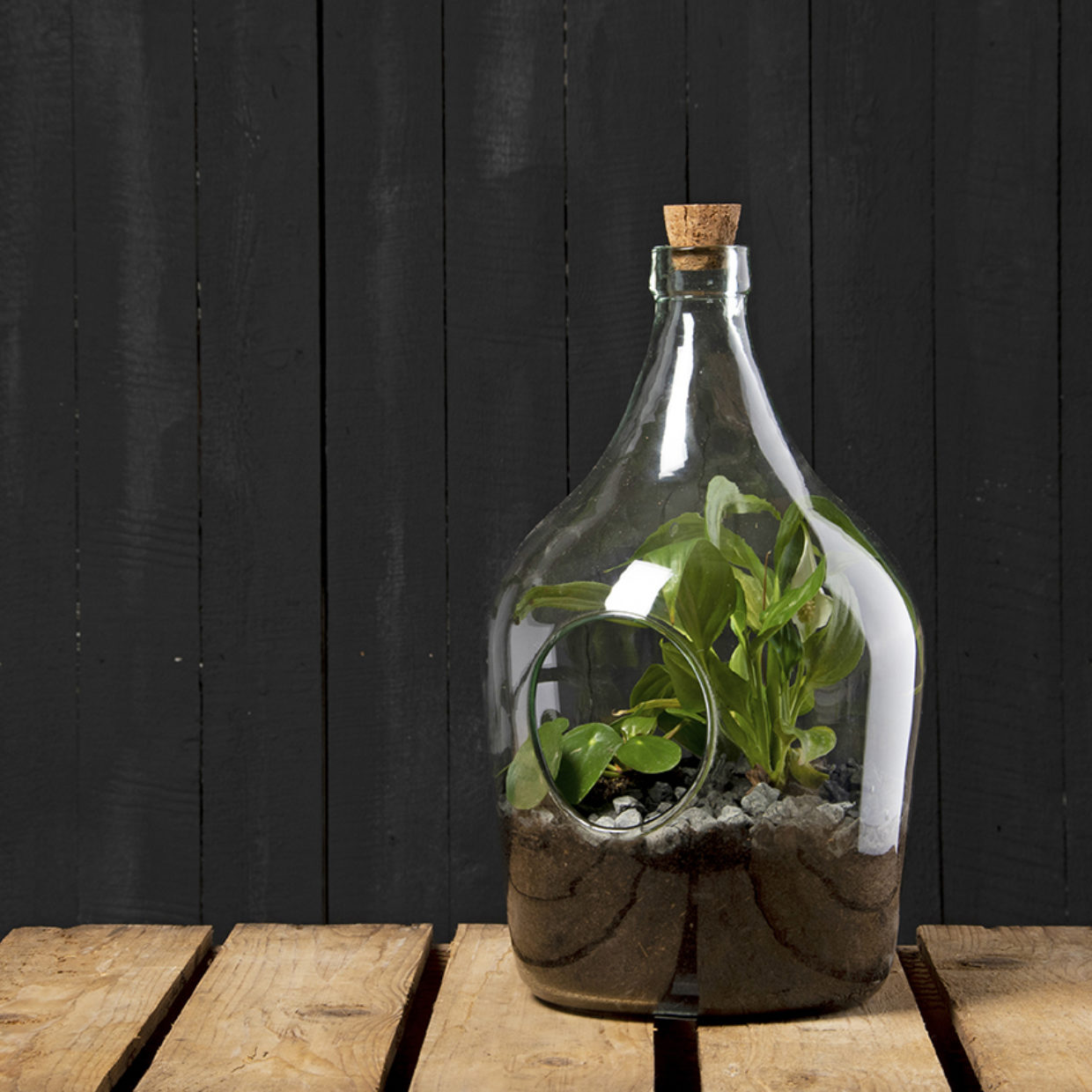 Esschert Design Pflanzliches Terrarium
