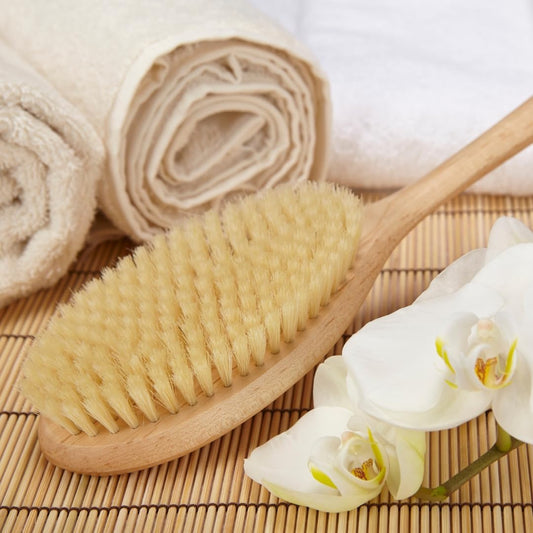 Hofmeister Bath Brush 47 cm Beechwood Back Brush Natural Bristles