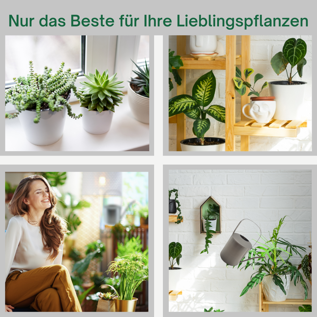 Gießkanne Edelstahl gebürstet 2,5 Liter Giesskanne Wasserkanne Blumen gießen