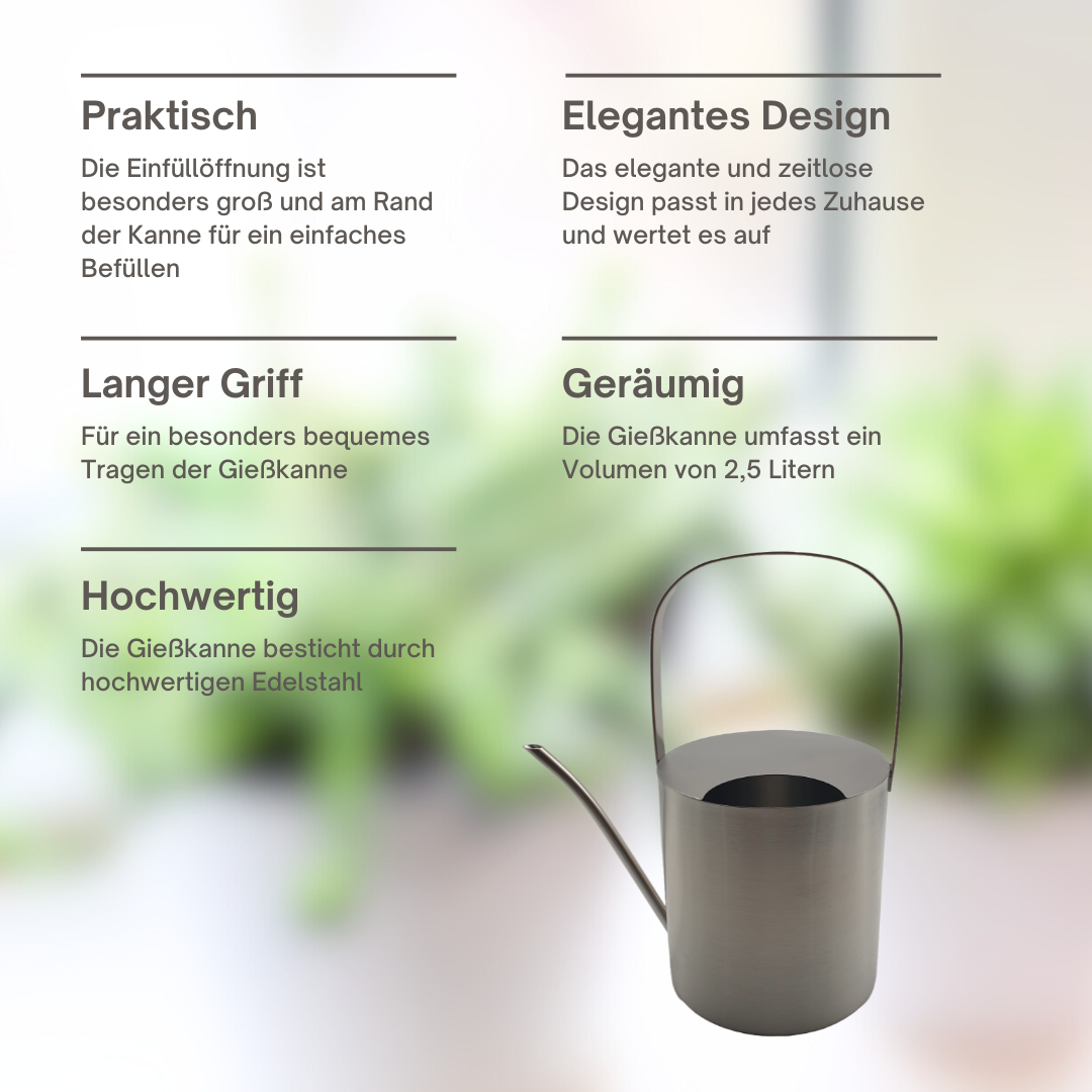 Gießkanne Edelstahl gebürstet 2,5 Liter Giesskanne Wasserkanne Blumen gießen