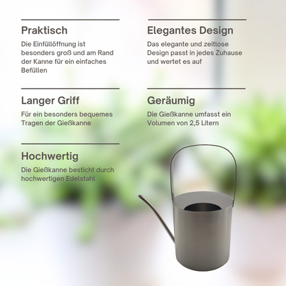 Gießkanne Edelstahl gebürstet 2,5 Liter Giesskanne Wasserkanne Blumen gießen
