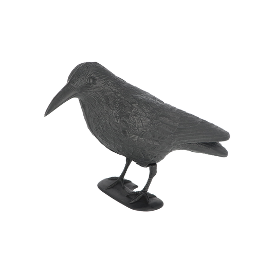 Esschert Crow Bird Repeller – realistic bird decoy to deter pigeons – weatherproof &amp; reusable – bird repellent for garden, balcony &amp; terrace