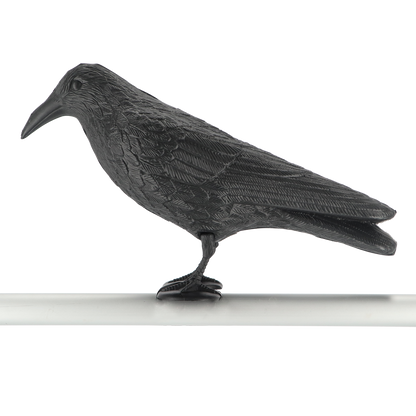 Esschert Crow Bird Repeller – realistic bird decoy to deter pigeons – weatherproof &amp; reusable – bird repellent for garden, balcony &amp; terrace
