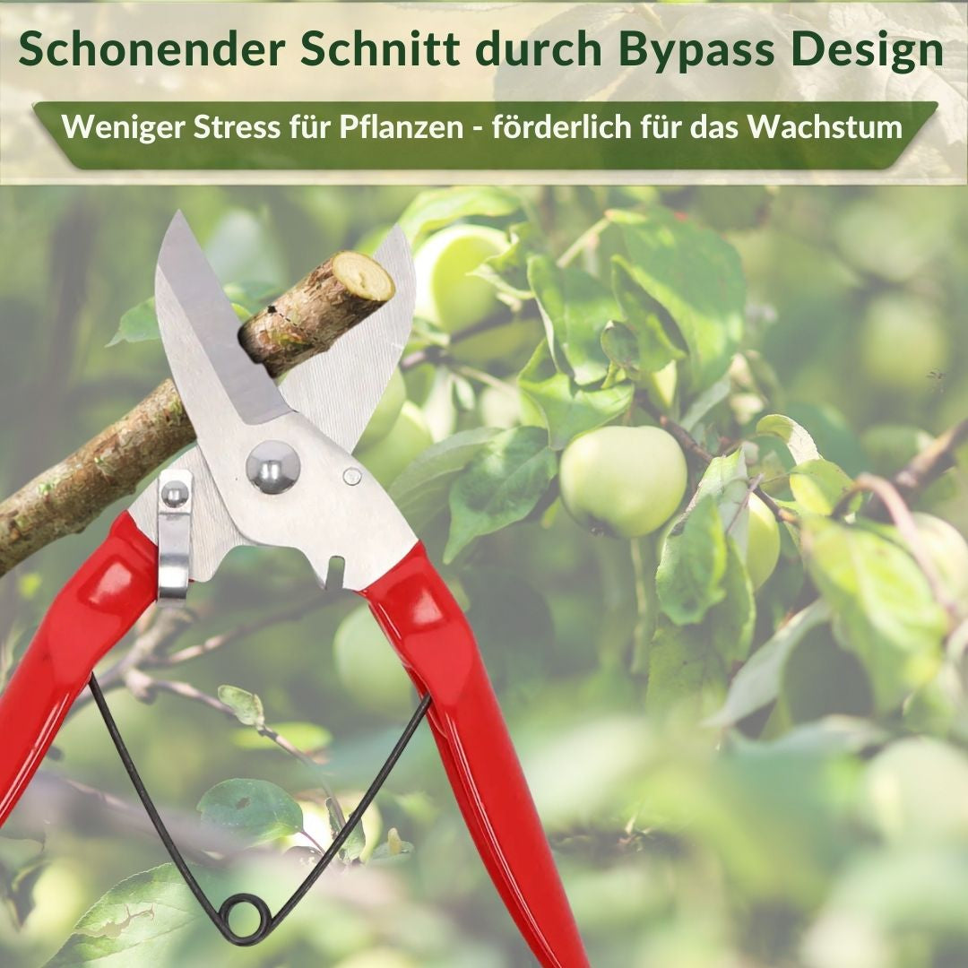 TOPANBIETER 999 Gartenschere mit Bypass-System in verschieden Ausführungen