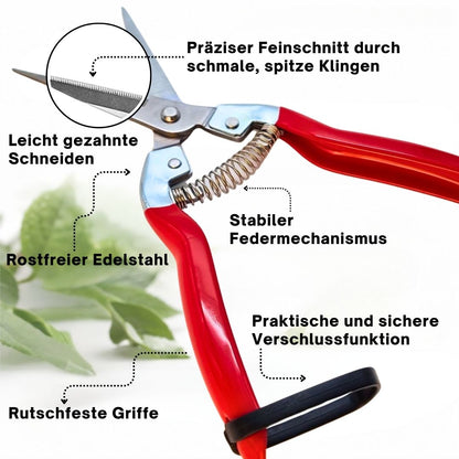 TOPANBIETER 999 Gartenschere mit Bypass-System in verschieden Ausführungen