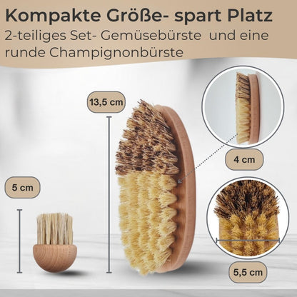 TA999 Reinigungsbürsten aus Buchenholz in verschiedenen Ausführungen