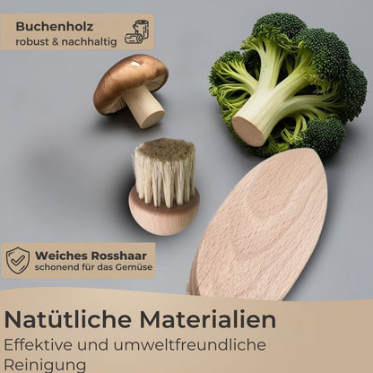 TA999 Reinigungsbürsten aus Buchenholz in verschiedenen Ausführungen