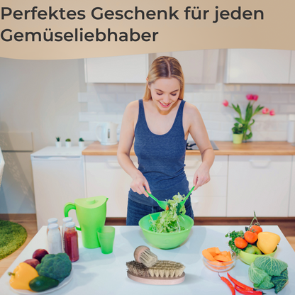 TA999 Reinigungsbürsten aus Buchenholz in verschiedenen Ausführungen