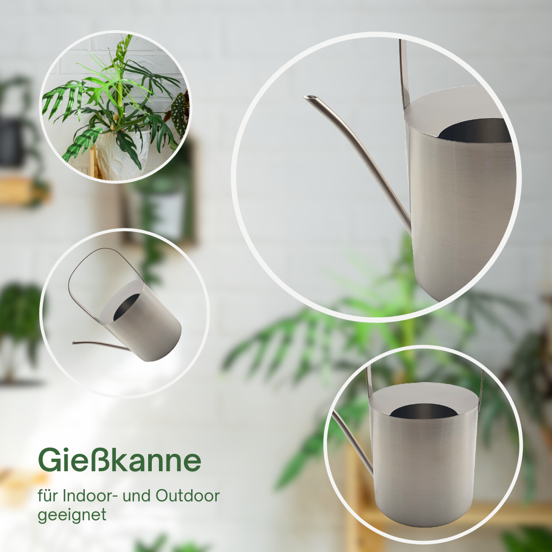 Gießkanne Edelstahl gebürstet 2,5 Liter Giesskanne Wasserkanne Blumen gießen
